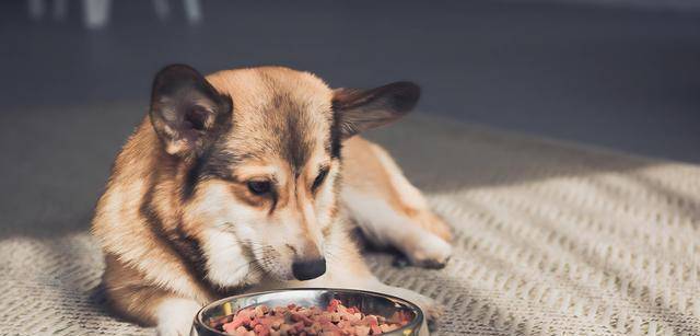 降临消费冷淡难改5大赛道悄悄赚翻天CQ9电子登录注册中国低欲望时代(图11) 降临消费冷淡难改5大赛道悄悄赚翻天CQ9电子登录注册中国低欲望时代(图11)