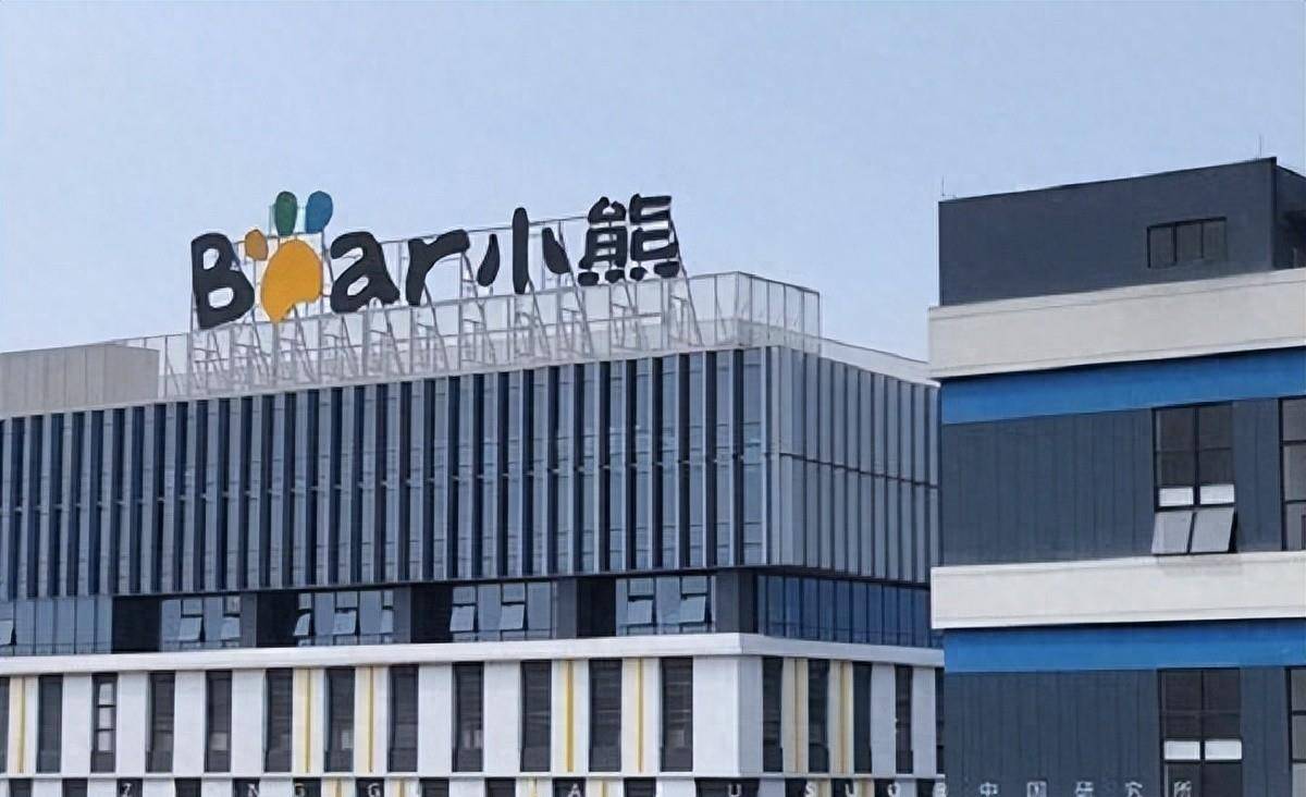 跌：网红小家电被消费者狠狠上了一课！CQ9电子游戏3年卖出1亿台如今双暴(图12)